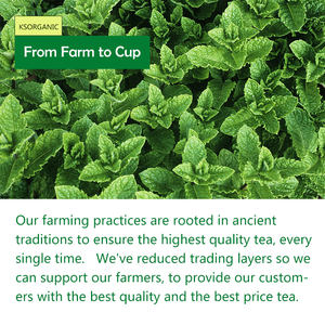 Layanan OEM ODM Teh <span class=keywords><strong>Spearmint</strong></span> Kualitas Premium dalam Bentuk Kantong - Product Image 6