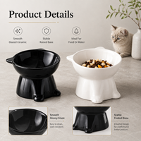 Gamelle surélevée en plastique pour chat avec rebord incliné et pieds hauts pour la protection du cou, idéale pour l'alimentation des petits chiens en intérieur