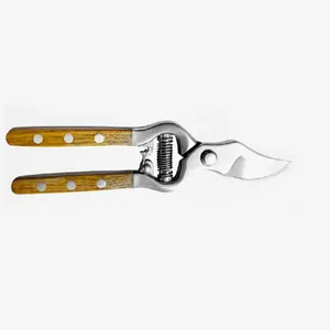 Popular Garden Tools Pruning Shears Scissors Straight Fruit Tree <strong>Pruner</strong> - Product Image 3