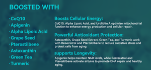 Vigo OEM NAD дополнительная добавка, ресвератрол CoQ10 Альфа-липоевая кислота для женщин и мужчин, альтернативная липосомальная жидкость для беременных женщин - Product Image 6