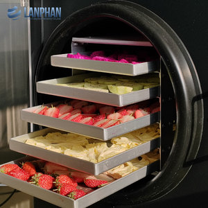 Lyophilisateur domestique commercial de <span class=keywords><strong>petite</strong></span> <span class=keywords><strong>taille</strong></span> pour bonbons, viande, fruits, légumes, aliments, avec pompe à vide, à vendre - Product Image 2