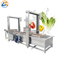 Commerciële Fruit Pompoen Wasmachine Prijs Datum Palm Groente Wasmachine Met Ozon