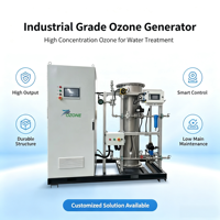 Générateur d'ozone 200g/h avec compresseur sans huile pour le traitement de l'eau d'incubation