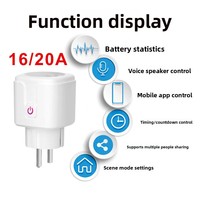 Prise intelligente Tuya de type européen, compatible Graffiti, Wi-Fi et Bluetooth, avec fonction de minuterie, contrôle à distance, prise en charge Alexa, mesure de la consommation, 2990W, certifiée FCC, direct usine