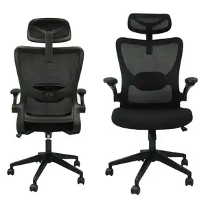 Best Selling Anji 2D Lumbar Support Chair Meeting Low MOQ Cheap High Quality Ergonomic Desk Mesh Chair with 3D Flip-up Armrest