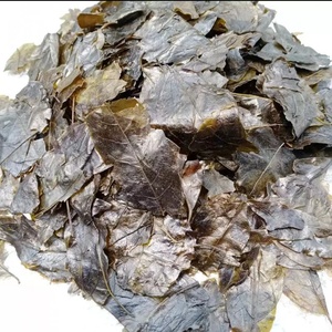 Vente en gros d'usine de thé chinois KAIYANGE sain feuilles volantes OEM pack personnalisé KuDing Bitter Broadleaf Health KUDING TEA - Product Image 3
