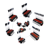 Vanne de commande directionnelle manuelle monobloc DCV40 50L-Min à 2 leviers, personnalisée pour chariot élévateur, chargeur, assainissement