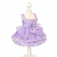 Robe de luxe pour chien et chat, violette, faite à la main avec des perles, des paillettes et des strass, robe de cérémonie personnalisée pour animaux de compagnie