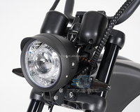 Stock UE 2000W Elektroroller Citycoco Chopper Scooter Mangosteen M1P 60V 30Ah Pneus larges Adultes