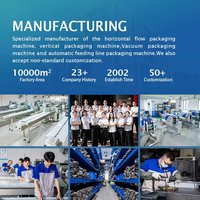 Máquina Envasadora Vertical Automática VFFS para Especias con Función de Envoltura y Etiquetado para Bolsas de Polvo Seco de Alimentos, Precio de Fábrica