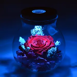 Rosas reales preservadas de D-YPR007, con luz de ambiente colorida, botella de los deseos, Rosa eterna, flores sin marchito para fiesta en el dormitorio