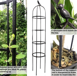 Plantes grimpantes au design moderne <span class=keywords><strong>Support</strong></span> vertical Plantes grimpantes <span class=keywords><strong>Arche</strong></span> de jardin pour l'extérieur et l'intérieur - Product Image 5