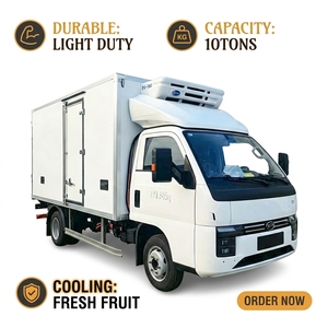 Furgone Refrigerato Elettrico <span class=keywords><strong>T4</strong></span> Leggero per Trasporto Frutta Fresca e Prodotti Congelati, 1-10 Tonnellate, 2V 24V, con Aria Condizionata - Product Image 1