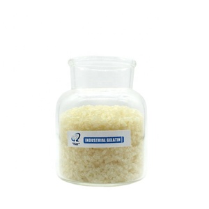Meilleure poudre de gélatine halal de qualité alimentaire 220 Bloom pour usage culinaire et confiserie - Forte capacité de gelification, bases de chewing-gum et épaississants - Product Image 2