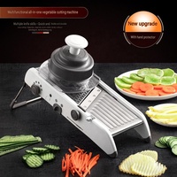 Râpe à légumes manuelle professionnelle multifonctionnelle, mandoline réglable en acier inoxydable, durable