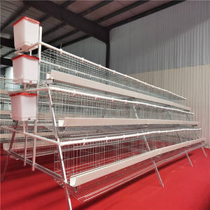 Katman yetiştiriciliği katmanlar ev Coop satış çiftlik pil kafesleri kümes hayvancılığı Broilers tavuk için a tipi Broiler yumurta tavuk kafes - Product Image 1