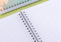 Échantillons gratuits impression personnalisée Promotion journal exercice personnalisé spirale a4 a5 cahier scolaire