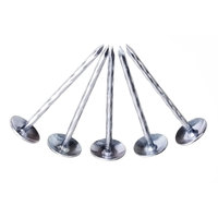 Paku Atap Anti Karat BWG9*2.5" BWG10*3" BWG9*2" dengan Tangkai Terpuntir dan Kepala Payung