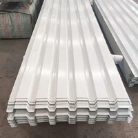 Tuiles de toiture ondulées traditionnelles en acier prélaqué PPGI durable pour usage extérieur, villa, abri de voiture/baldachin, mur – Garantie 1 an