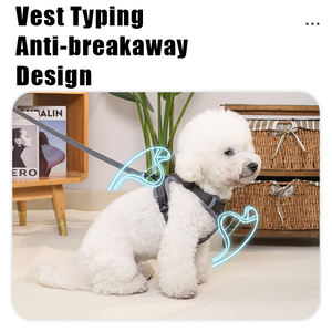 Rarewe, producto para mascotas, cachorro, perro, chaleco, arnés, conjunto OEM, logotipo de marca personalizado, transpirable, ajustable, arnés para perro pequeño para <span class=keywords><strong>Bichon</strong></span> Frise - Product Image 3