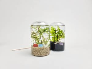 Kits de culture de terrarium de plantes qu'une mini boule de cristal mousse kit de terrarium bricolage <span class=keywords><strong>pour</strong></span> <span class=keywords><strong>cadeau</strong></span> de <span class=keywords><strong>jardinier</strong></span> - Product Image 2
