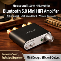 Amplificateur numérique 100W HiFi Mini TPA3116 BT 2.0 récepteur audio stéréo avec USB DAC amplificateur de son TV linéaire