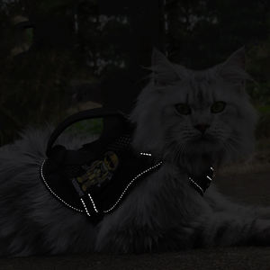 Nuevo Arnés Táctico para Gatos a Prueba de Escape, Ajustable, de Nailon, Chaqueta para Caminar, Acolchado Resistente, Elegante y Reflectante - Product Image 4