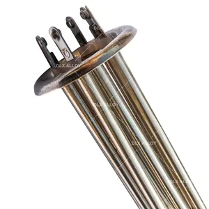 Water 12V 1000W Water Immersion Heater With Flange Spiral Stainless Steel Immersion Heater Copper Head/
