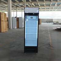 Vitrine Réfrigérée Verticale 300L HUNAYU, Meilleure Vente, Réfrigérateur Électrique Économique, Vitrine de Présentation pour Crèmes Glacées et Boissons, Congélateur de Présentation