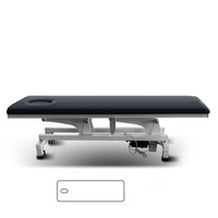Mobilier Portable de luxe pliable, Table de Massage pour Salon de beauté Spa lit Facial