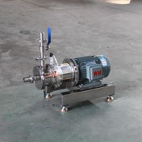 Mélangeur en ligne à cisaillement élevé monophasé en acier inoxydable SUS316L de qualité chimique et alimentaire avec moteur et pompe 220V AC