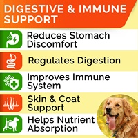Suppléments nutritionnels probiotiques pour chiens OEM pour soulager les allergies, la diarrhée, les flatulences, la constipation et améliorer l'immunité du chien