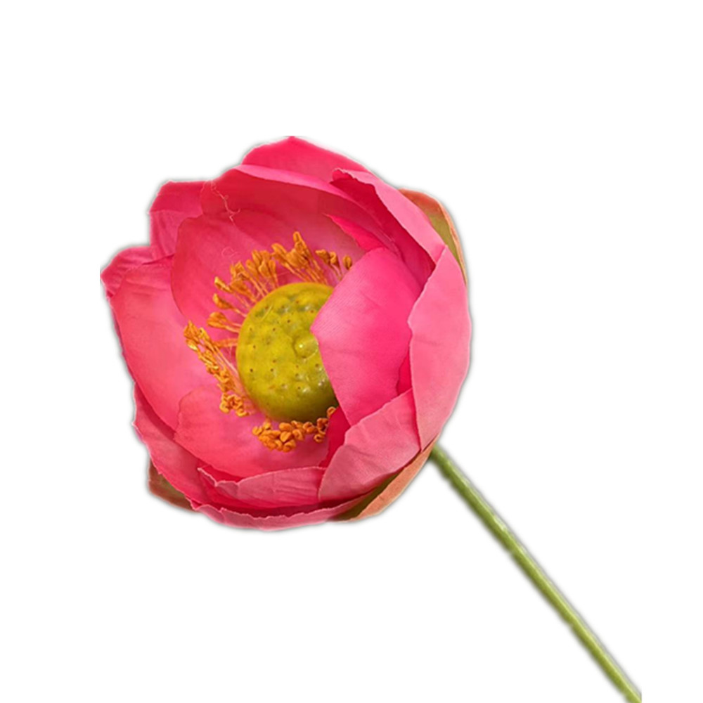 bright pink