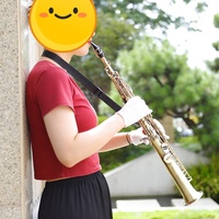 Professional Abalone Shell Buckle Straight Tube Soprano Saxophone Accessory Set Brass Head BB Tone