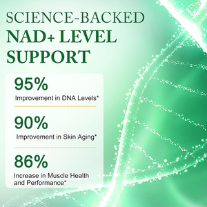 Hoge Kwaliteit Custom 500Mg Nicotinamide Riboside Nad Resveratrol Antioxidant Adult Anti-Aging Supplement Capsules Quercetine - Product Image 5