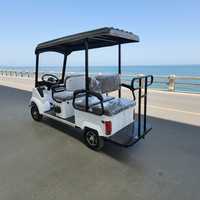 Voiture électrique haute performance, mini-buggy, véhicule de tourisme et scooter pour le transport urbain et le tourisme