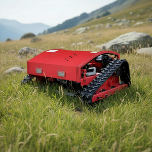 Cortadora de Césped Industrial Hongsheng LY07 24V 800mm con Giro Cero, Batería, Alto Rendimiento, Control Remoto y Autopropulsión - Product Image 1