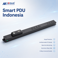 PDU de rack standard 19 pouces 1.5U pour serveur, Indonésie, pour centre de colocation, acheteur de commandes en gros