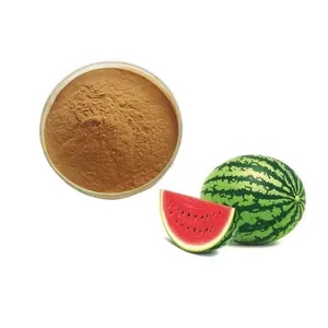 Factory Wholesales High Quality Watermelon Rind Extract Powder