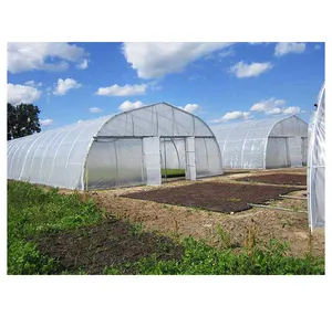 Agricultural Polytunnel Garden Tunnel Greenhouse Green House Outdoor Kits Plant Growth Grow Tent Hothouse Walk-In Greenhouse