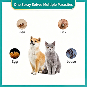 <span class=keywords><strong>Spray</strong></span> de protection triple action OEM/ODM pour animaux de compagnie avec barrière complète pour l'environnement domestique, inhibe la croissance des œufs de parasites - Product Image 3