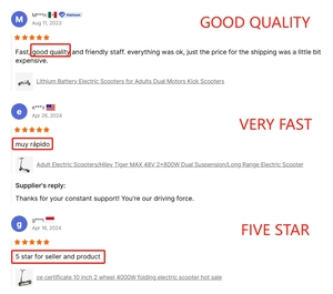 สกู๊ตเตอร์ออฟโรดทรงพลัง ระยะไกล สำหรับผู้ใหญ่ รุ่น King EU US Warehouse - Product Image 6