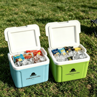 Glacière isotherme miniature en plastique pour le camping, luxe, petite, 5L, pour boissons