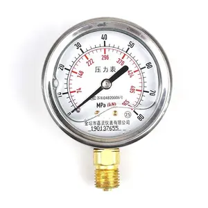 80MPA 스테인레스 스틸 액체 충전 압력 게이지