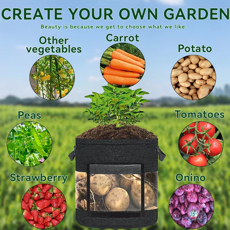 Clear Potato Grow Bag with Viewing Window - Root Observation Planter ...