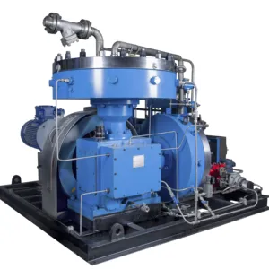 Huayan factory 11kw 30Nm3/h 40bar biogas methane LPG diaphragm type compressor unit