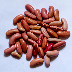 Frijoles Rojos Indios Premium Frescos de la Marca Fittree International, 24 Meses de Duración, para Venta al por Mayor Internacional - Product Image 1