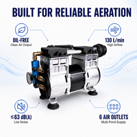 Compresor de aireación de pistón sin aceite 130L/min 420W Bajo nivel de ruido 63dB para estanques de peces y lagos CE TUV ROHS ISO9001 2 años de garantía