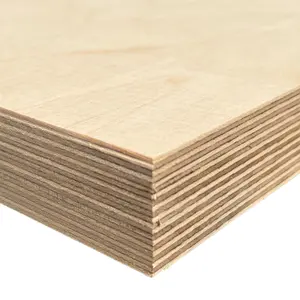 Manufactory European Standard 4x8 Birch Plywood 3 4 For Indoor Furniture