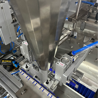 Automatische Koffiebonen Fruit Snoep Vulmachine Stand-Up Zakje Voorgemaakte Zak Granule Verpakkingsmachine